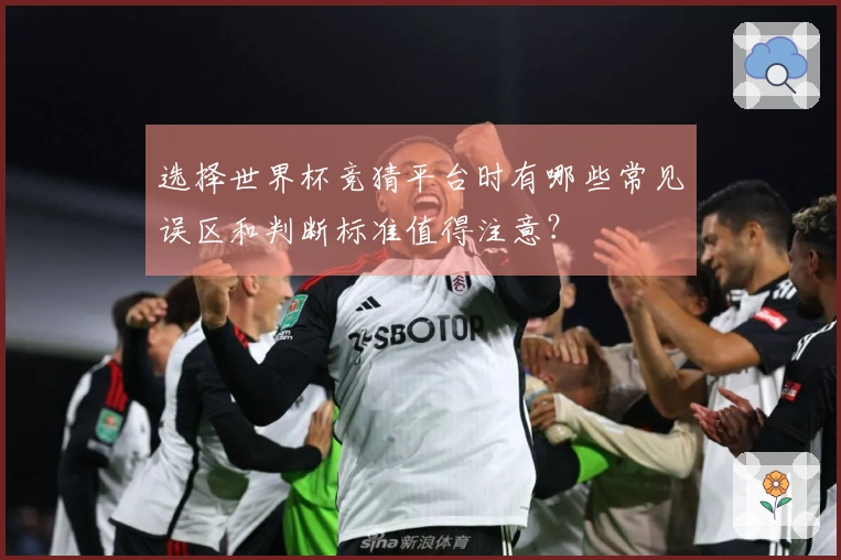 选择世界杯竞猜平台时有哪些常见误区和判断标准值得注意？