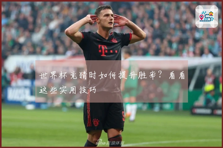 世界杯竞猜时如何提升胜率？看看这些实用技巧